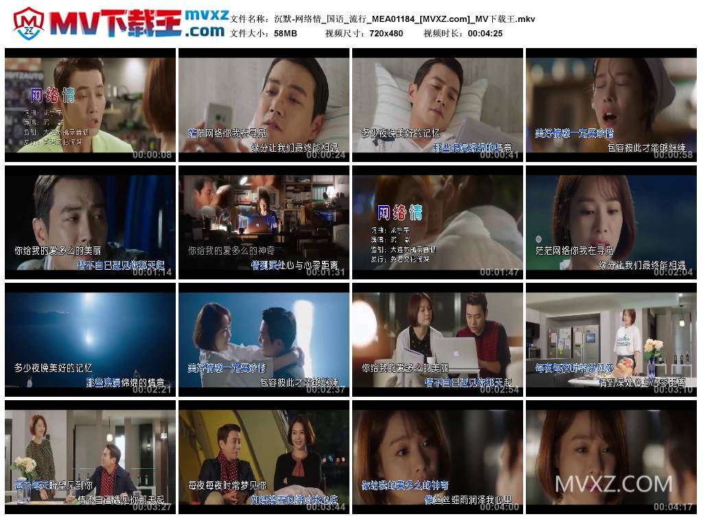 沉默-网络情_国语_流行_MEA01184